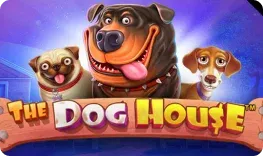 CandySpinz Casino – The Dog House